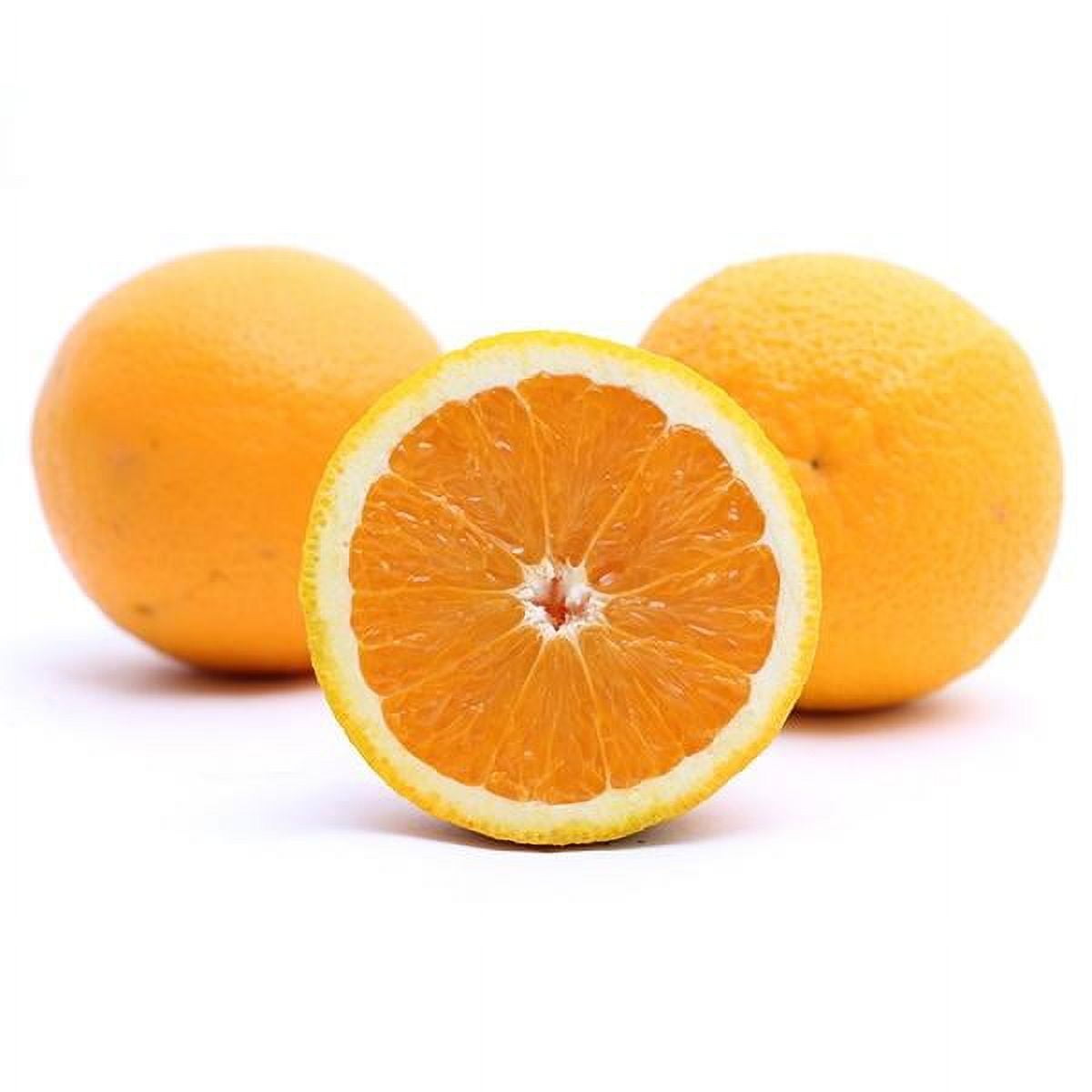 Fresh Navel Orange, Each