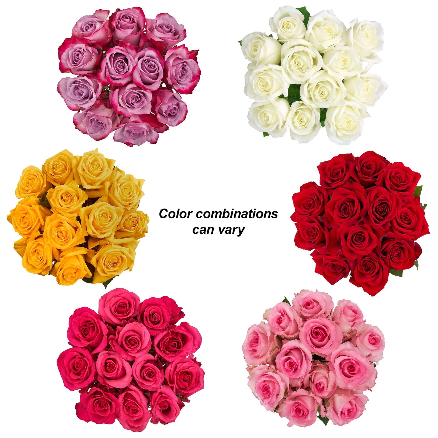 Fresh-Cut Solid Roses Flower Bunch, Minimum of 12 Stems, Colors Vary