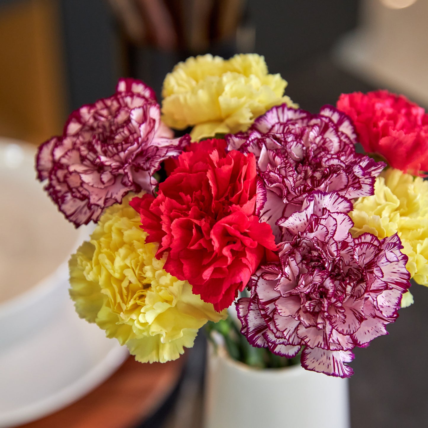 Fresh-Cut Rainbow Carnations Flower Bunch, Minimum 8 Stems, Colors Vary