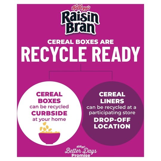 Kellogg's Raisin Bran Original Breakfast Cereal, Family Size, 24 oz Box