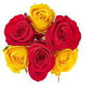 Fresh-Cut 6 Stem Roses Flower Bunch, 6 Stems, Colors Vary