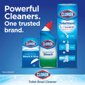 Clorox Bleach and Blue Toilet Bowl Cleaner Tablets, Rain Clean, 4 Count