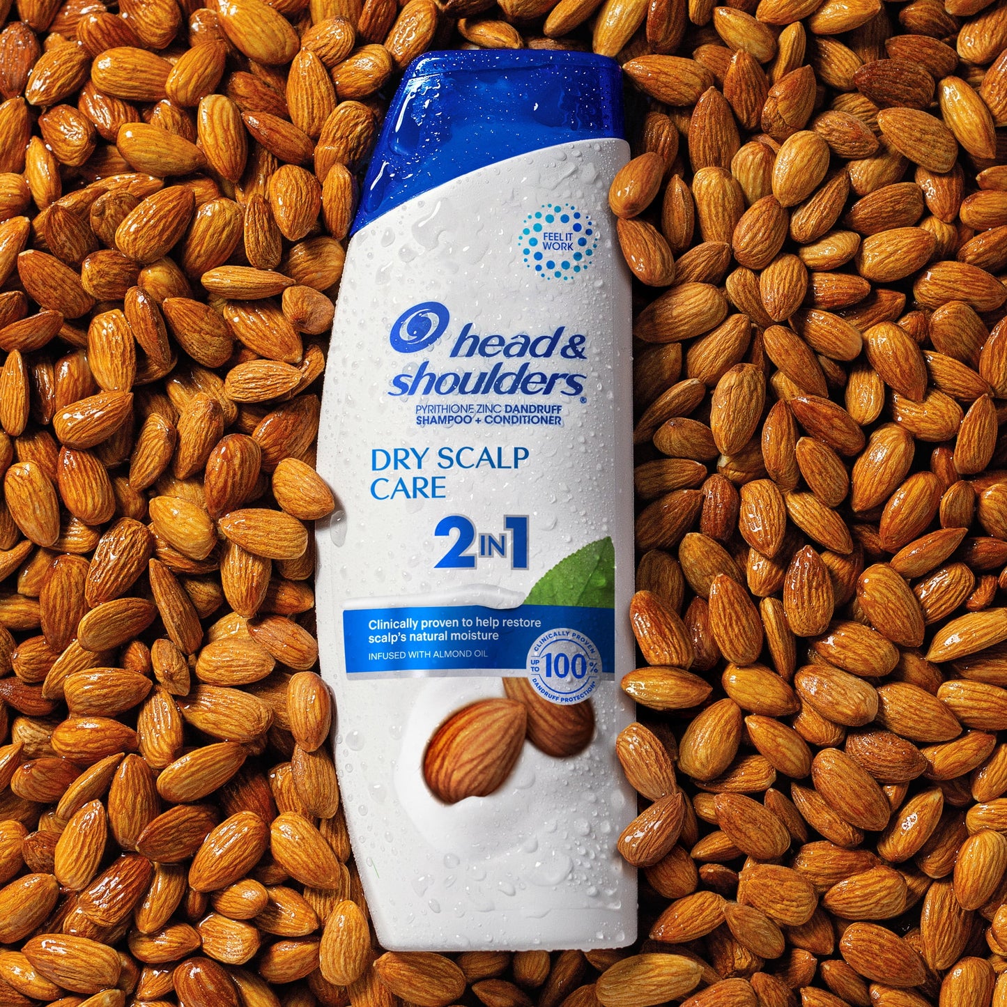 Head & Shoulders 2 in 1 Dandruff Shampoo and Conditioner, Dry Scalp Care, 8.45 oz