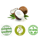 Coconut Chutney Original