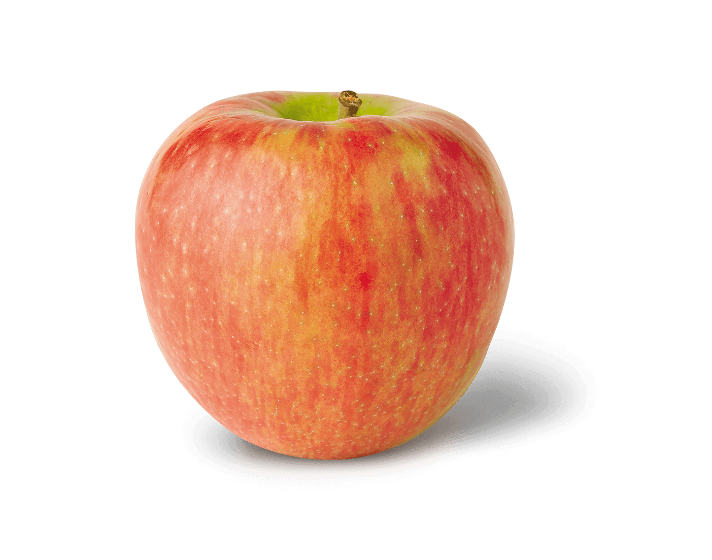 Fresh Honeycrisp Apple, Each