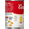 Campbell's Condensed Kids Soup, Double Noodle Soup, 10.5 Ounce Can