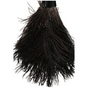 NOBRAND EverClean Ostrich Feather Duster