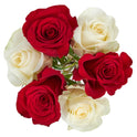 Fresh-Cut 6 Stem Roses Flower Bunch, 6 Stems, Colors Vary