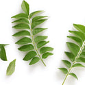 Curry Leaves Packet