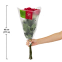 Fresh-Cut 6 Stem Roses Flower Bunch, 6 Stems, Colors Vary