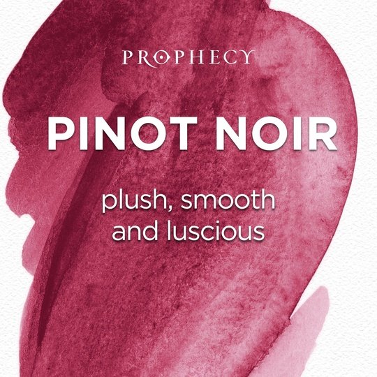 Prophecy Wines Pinot Noir Red Wine, 750ml Glass Bottle