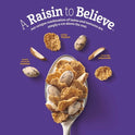 Raisin Nut Bran Cereal, High Fiber Cereal Made with Whole Grain, 20.8 oz