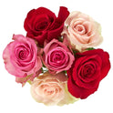 Fresh-Cut 6 Stem Roses Flower Bunch, 6 Stems, Colors Vary