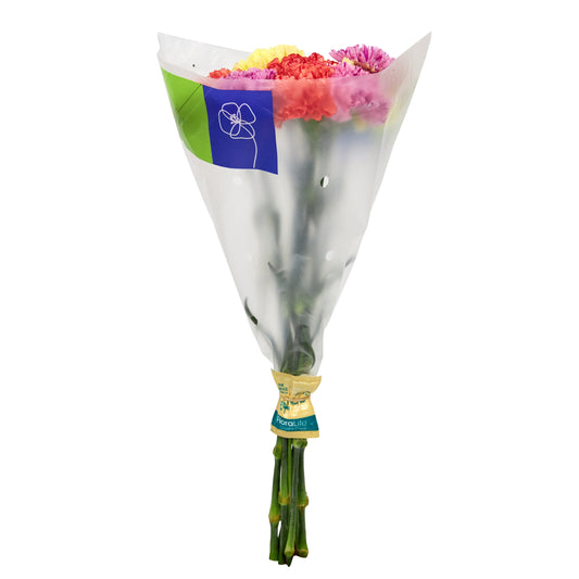 Fresh-Cut Rainbow Carnations Flower Bunch, Minimum 8 Stems, Colors Vary