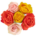 Fresh-Cut 6 Stem Roses Flower Bunch, 6 Stems, Colors Vary