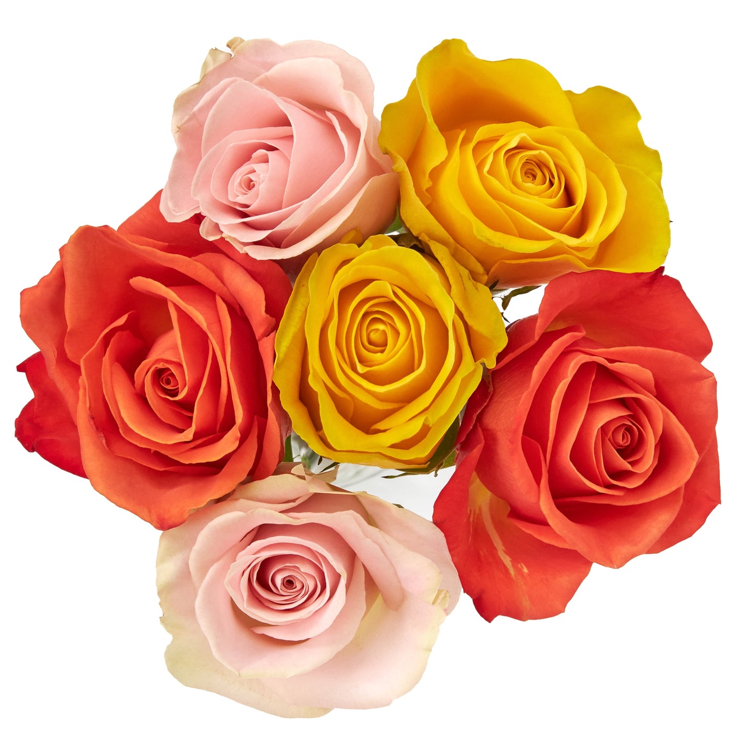 Fresh-Cut 6 Stem Roses Flower Bunch, 6 Stems, Colors Vary