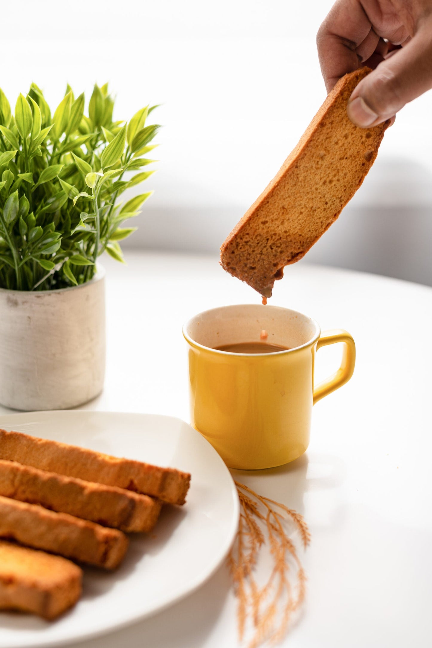 Premium Cake Rusk