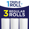 Sparkle Pick-a-Size Paper Towels, Prints, 6 Triple Rolls