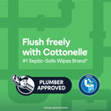 Cottonelle Gentle Plus Flushable Wipes, 2 Flip-Top Packs, 42 Wipes per Pack (84 Total)