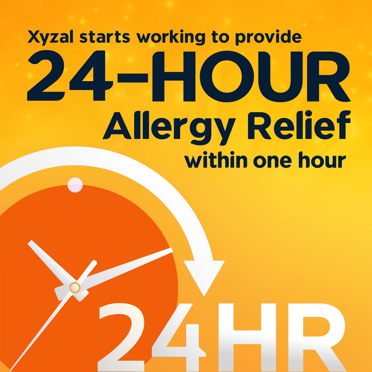 Xyzal Adult Allergy 24HR (80 Ct), Allergy Relief Tablets