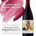 Prophecy Wines Pinot Noir Red Wine, 750ml Glass Bottle