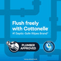 Cottonelle Fresh Care Flushable Wipes, 1 Resealable Bag, 168 Wipes per Pack (168 Total)