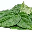 Paan Leaves