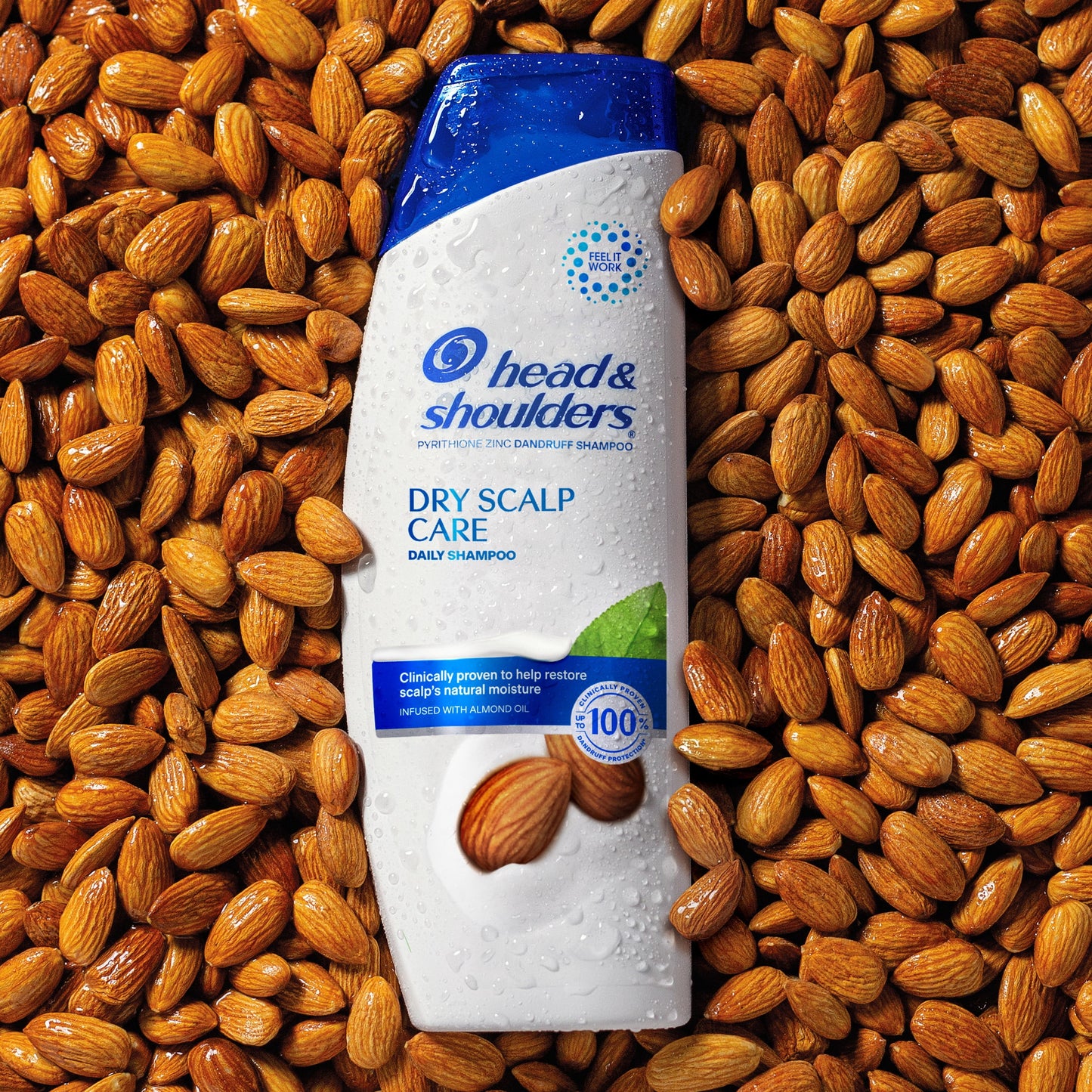 Head and Shoulders Dandruff Shampoo, Dry Scalp Care, 20.7 fl oz