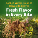 Del Monte Whole Potatoes, Canned Vegetables, 14.5 oz Can