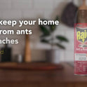 Raid Outdoor Defense System Ant and Roach Killer Spray Value Pack, 17.5 oz, 2 Count