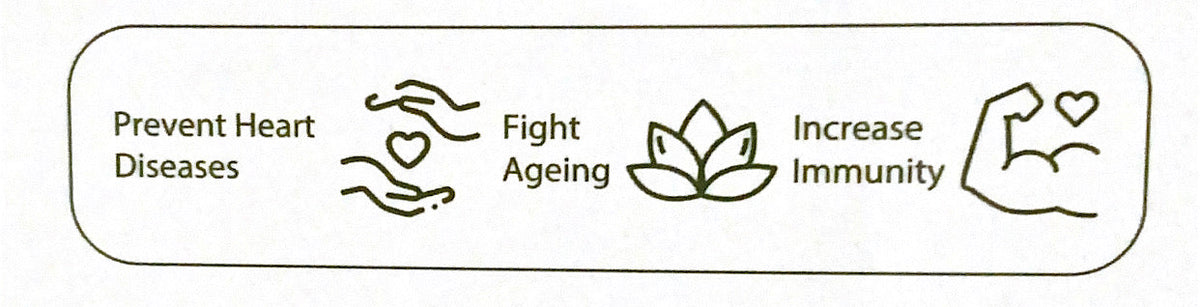 Groundnut Oil