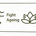Groundnut Oil
