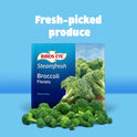 Birds Eye Steamfresh Broccoli Florets, Frozen, 10.8 oz