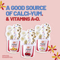 Yoplait Original Low Fat Yogurt Pack, 8 Ct, 6 OZ Fruit Yogurt Cups