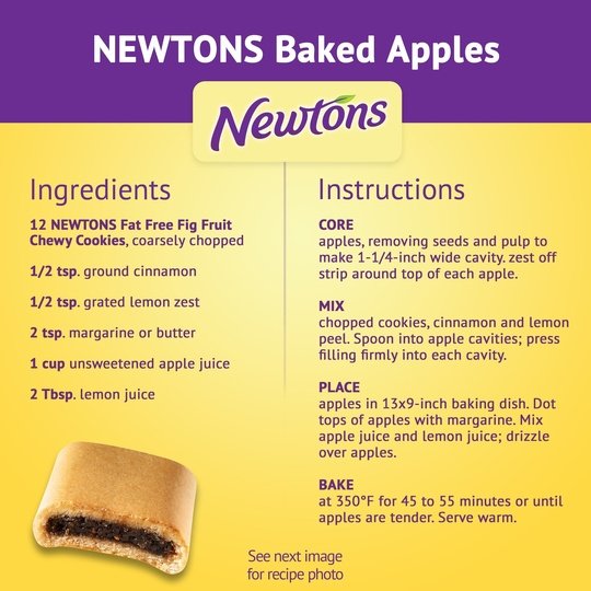 Newtons Fat Free Soft & Fruit Chewy Fig Cookies, 10 oz